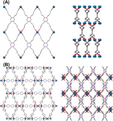 Luminescent Zn (II)-Based Nanoprobes: A Highly Symmetric Supramolecular Platform for Sensing of Biological Targets and Living Cell Imaging